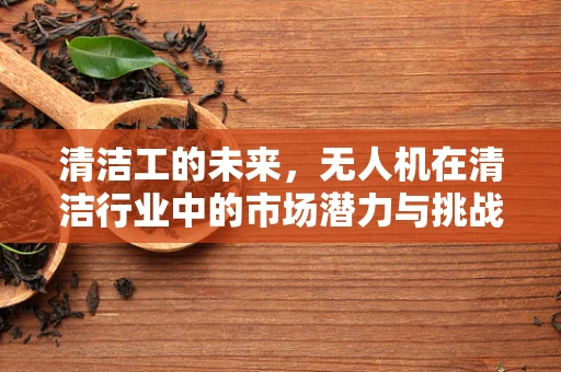 清洁工的未来，无人机在清洁行业中的市场潜力与挑战