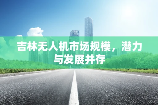 吉林无人机市场规模，潜力与发展并存
