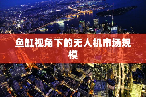 鱼缸视角下的无人机市场规模
