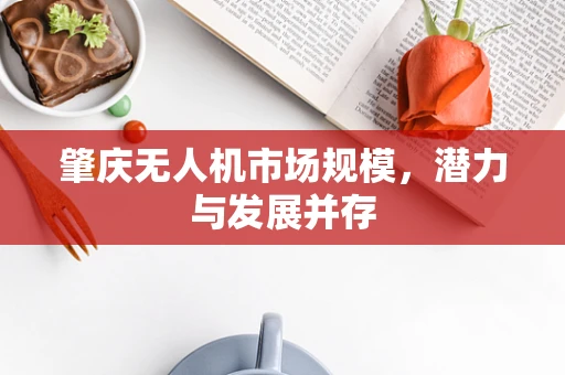 肇庆无人机市场规模，潜力与发展并存