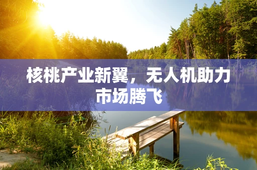 核桃产业新翼，无人机助力市场腾飞