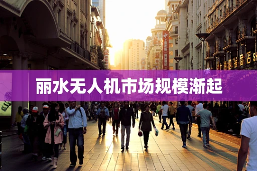 丽水无人机市场规模渐起