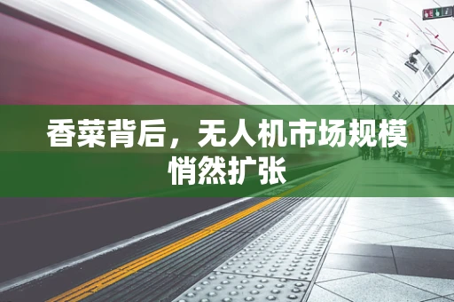 香菜背后，无人机市场规模悄然扩张