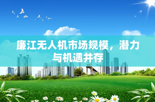 廉江无人机市场规模，潜力与机遇并存