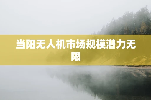 当阳无人机市场规模潜力无限