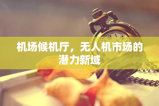 机场候机厅，无人机市场的潜力新域