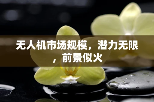 无人机市场规模，潜力无限，前景似火