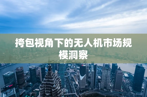 挎包视角下的无人机市场规模洞察