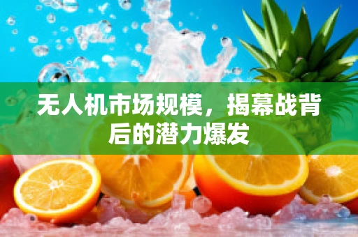 无人机市场规模，揭幕战背后的潜力爆发