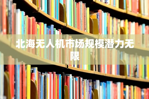 北海无人机市场规模潜力无限