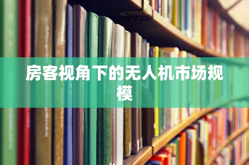 房客视角下的无人机市场规模