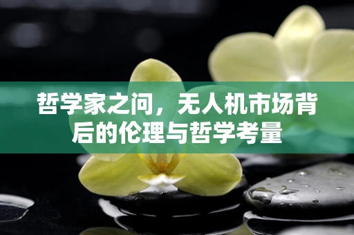 哲学家之问，无人机市场背后的伦理与哲学考量
