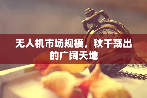 无人机市场规模，秋千荡出的广阔天地