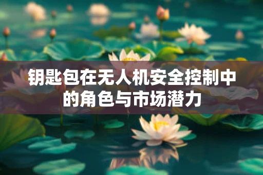 钥匙包在无人机安全控制中的角色与市场潜力