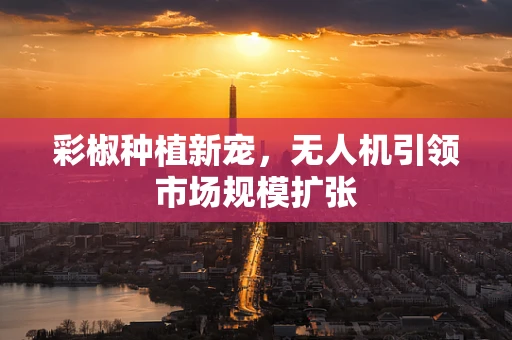 彩椒种植新宠，无人机引领市场规模扩张