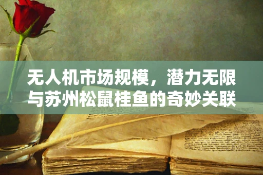 无人机市场规模，潜力无限与苏州松鼠桂鱼的奇妙关联