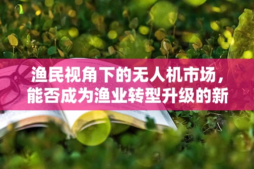 渔民视角下的无人机市场，能否成为渔业转型升级的新渔网？