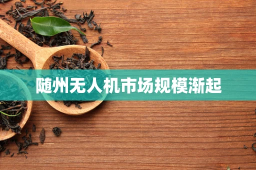 随州无人机市场规模渐起