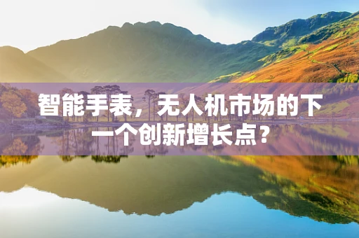 智能手表，无人机市场的下一个创新增长点？