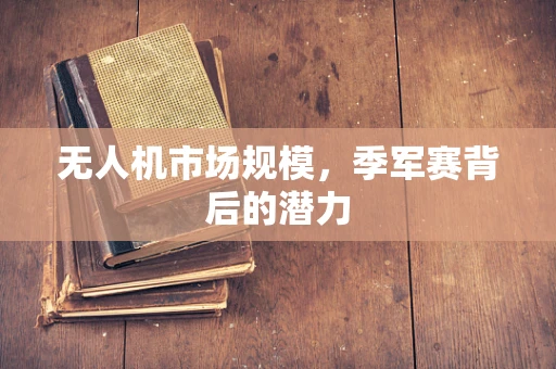 无人机市场规模，季军赛背后的潜力