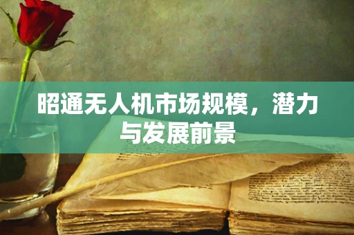 昭通无人机市场规模，潜力与发展前景