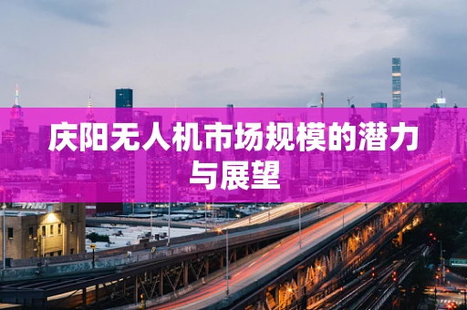 庆阳无人机市场规模的潜力与展望