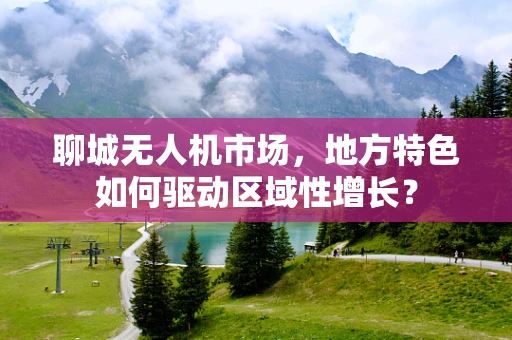 聊城无人机市场，地方特色如何驱动区域性增长？