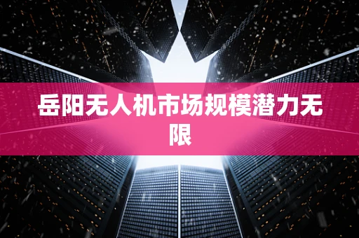 岳阳无人机市场规模潜力无限