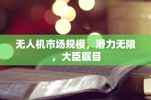 无人机市场规模，潜力无限，大臣瞩目
