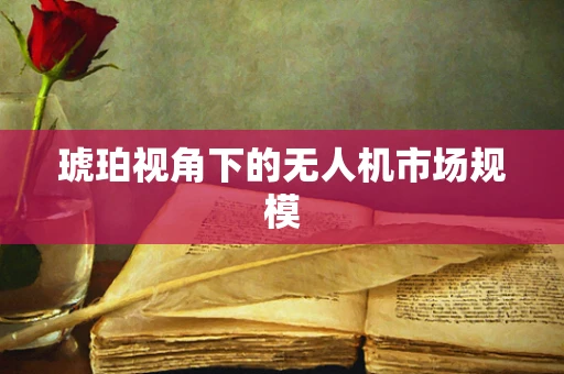 琥珀视角下的无人机市场规模