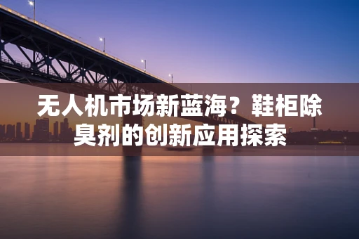 无人机市场新蓝海？鞋柜除臭剂的创新应用探索