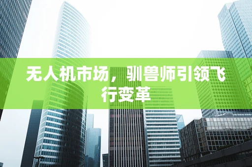 无人机市场，驯兽师引领飞行变革