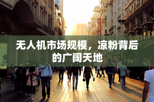 无人机市场规模，凉粉背后的广阔天地