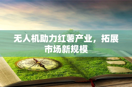 无人机助力红薯产业，拓展市场新规模