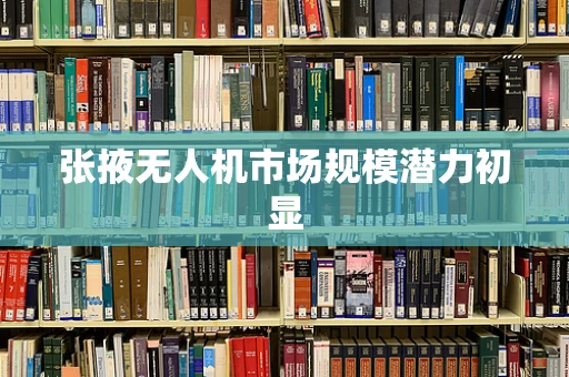 张掖无人机市场规模潜力初显
