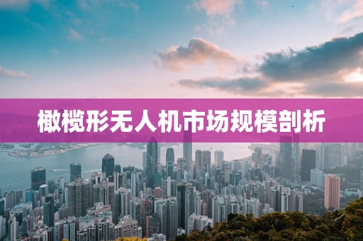 橄榄形无人机市场规模剖析