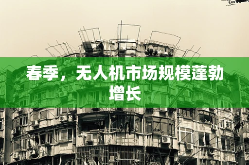 春季，无人机市场规模蓬勃增长