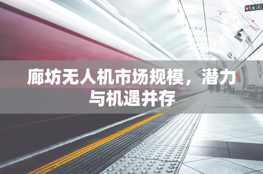 廊坊无人机市场规模，潜力与机遇并存