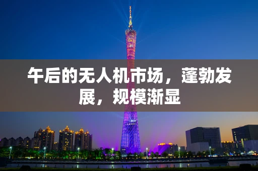 午后的无人机市场，蓬勃发展，规模渐显