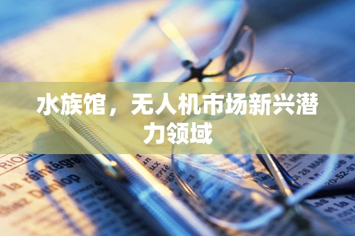 水族馆，无人机市场新兴潜力领域