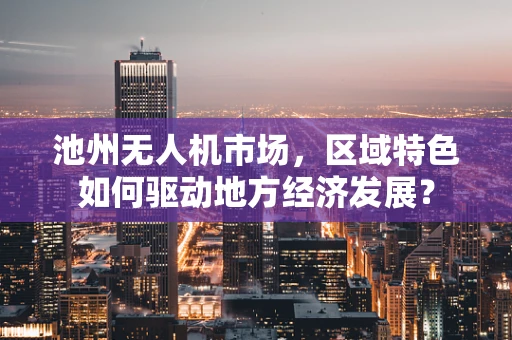 池州无人机市场，区域特色如何驱动地方经济发展？