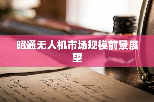 昭通无人机市场规模前景展望