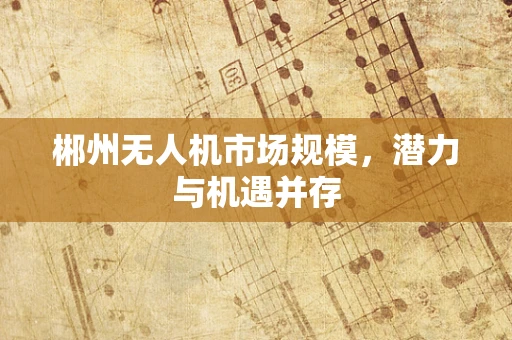 郴州无人机市场规模，潜力与机遇并存