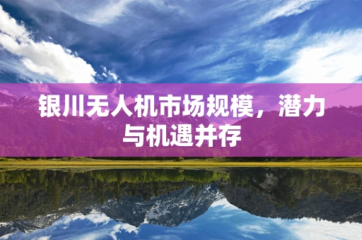 银川无人机市场规模，潜力与机遇并存