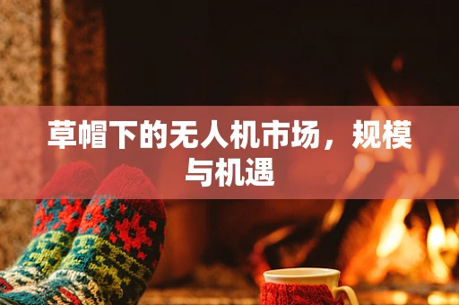 草帽下的无人机市场，规模与机遇