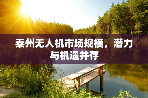 泰州无人机市场规模，潜力与机遇并存