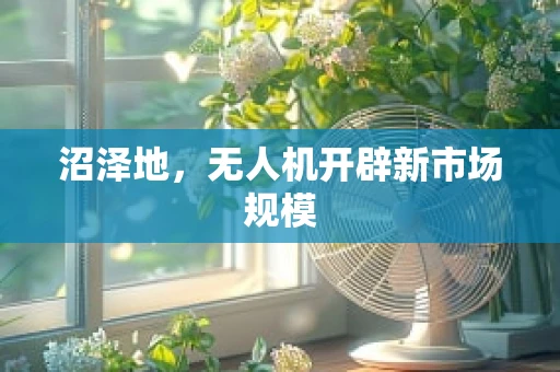 沼泽地，无人机开辟新市场规模