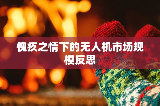 愧疚之情下的无人机市场规模反思