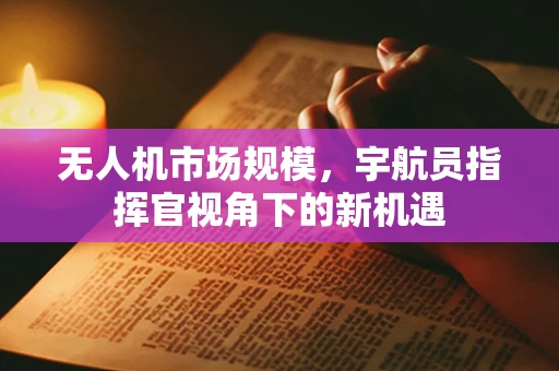 无人机市场规模，宇航员指挥官视角下的新机遇