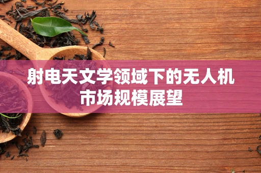 射电天文学领域下的无人机市场规模展望